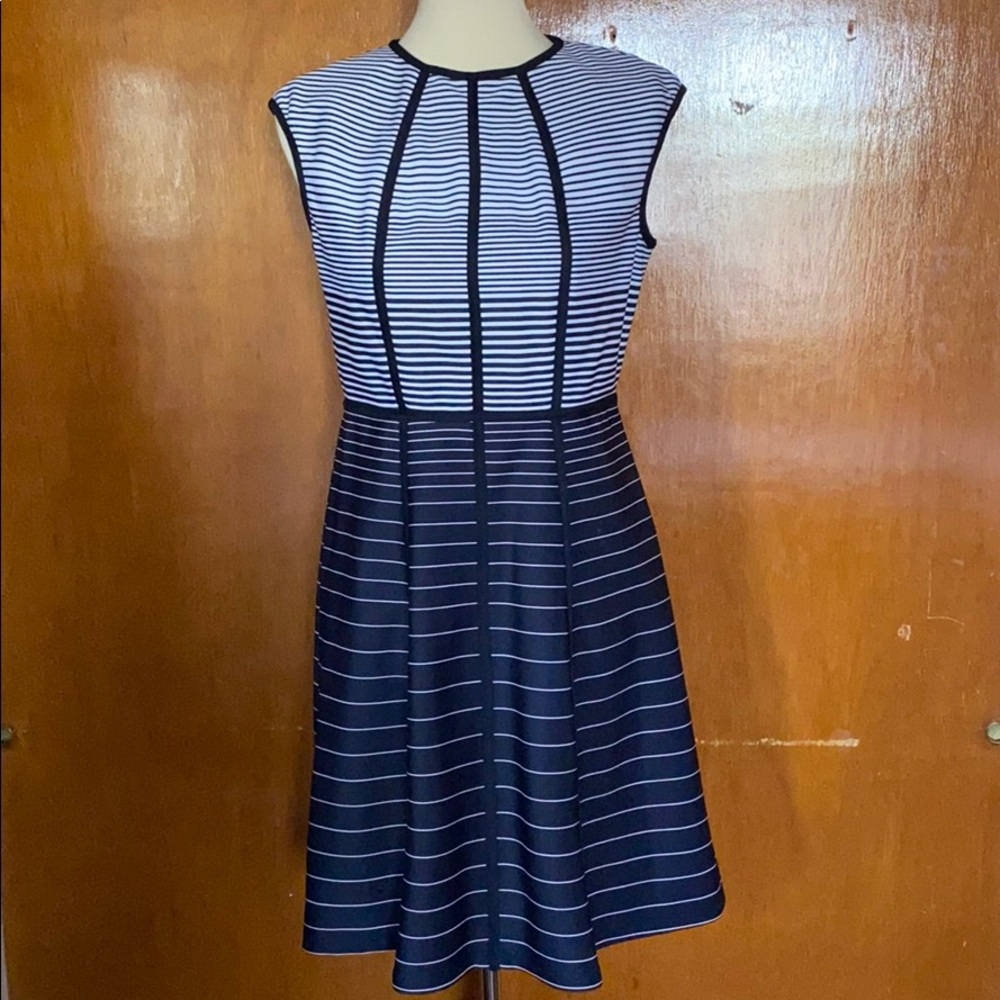 Sandra Darren Stripe dress